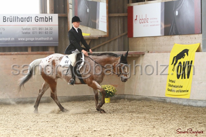 29-ApHC OHUS_029.jpg